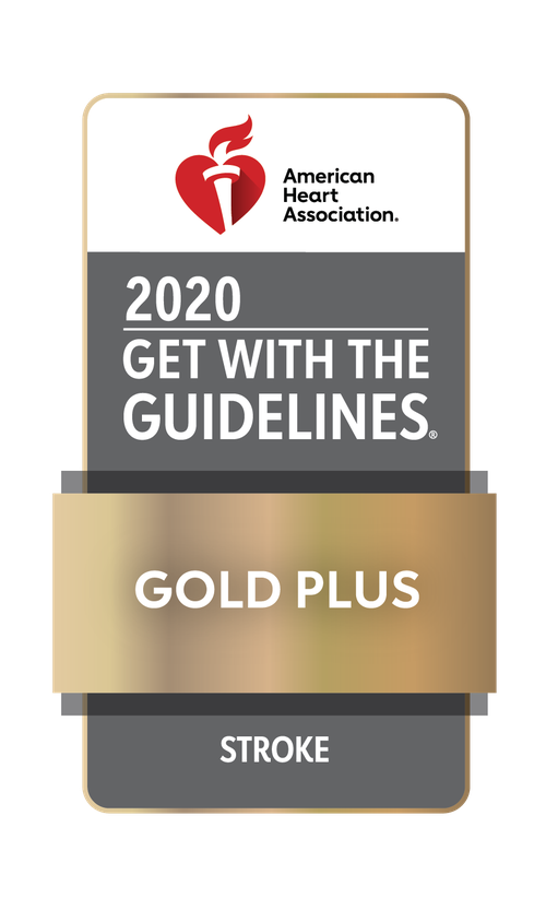 GWTG_STROKE-PLUS_2020_Gold_4C.png