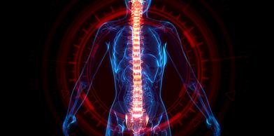 Spine care services doctor